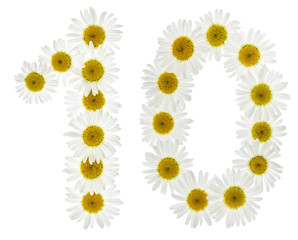 Arabic numeral 10, ten, from white flowers of chamomile, isolated on white background