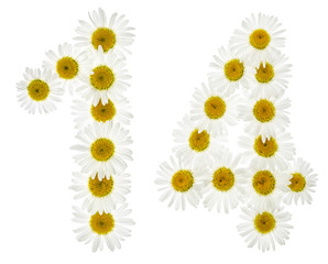 Arabic numeral 14, fourteen, from white flowers of chamomile, isolated on white background