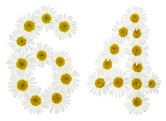 Arabic numeral 64, sixty four, from white flowers of chamomile, isolated on white background