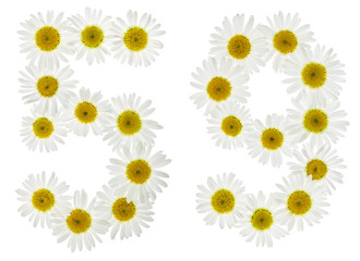 Arabic numeral 59, fifty nine, from white flowers of chamomile, isolated on white background