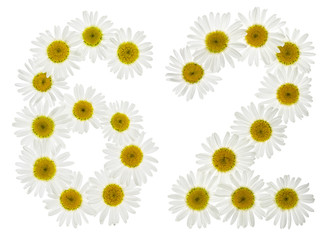 Arabic numeral 62, sixty two, from white flowers of chamomile, isolated on white background