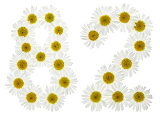Arabic numeral 82, eighty two, from white flowers of chamomile, isolated on white background