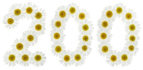 Arabic numeral 200, two hundred, from white flowers of chamomile, isolated on white background