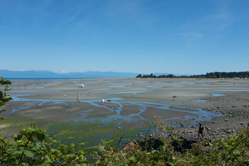 Parksville Bay bc at low tide