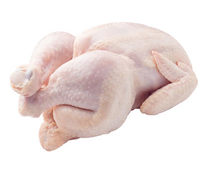 Raw fresh chicken, clipping path, on white background, isolated