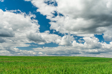green field and blue sky