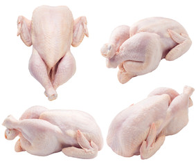 Raw fresh chicken, clipping path, on white background, isolated