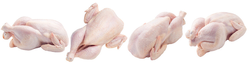 Raw fresh chicken, clipping path, on white background, isolated