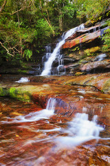 WF Somersby flat delta vert