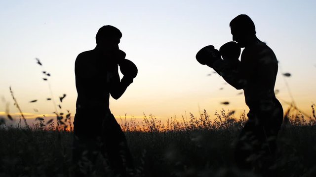 Boxing training outdoors. Opponents in boxing gloves silhouette sparring in field at sunset. Fighter kicking.