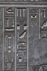 Ancient Hieroglyphic Script