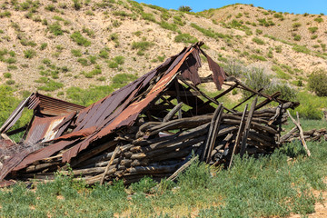 Collapsed Log Barn