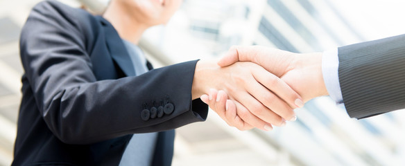 Businesswoman making handshake with a businessman