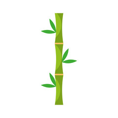 bamboo stem natural icon vector illustration design