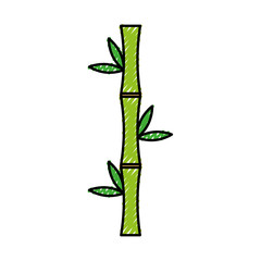 bamboo stem natural icon vector illustration design