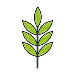 leafs plant wreath icon vector illustration design