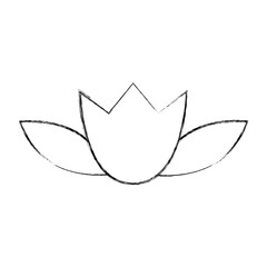 natural flower spa icon vector illustration design