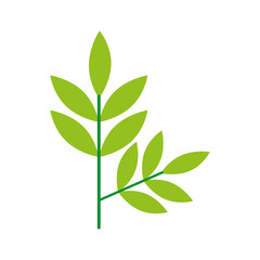 Obraz premium leafs plant wreath icon vector illustration design