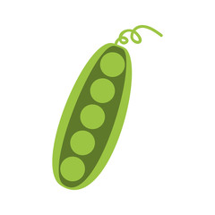 bean fresh vegetable isolated icon vector illustration design