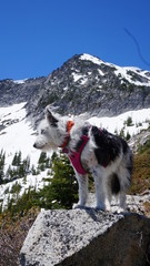 Obraz premium Exploring Washington State, the Great Pacific Northwest
