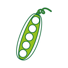bean fresh vegetable isolated icon vector illustration design