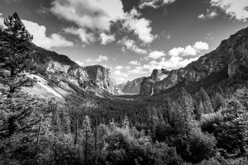 Yosemite View