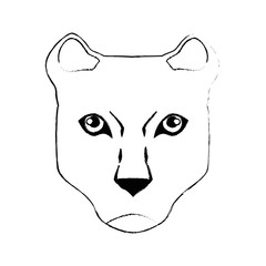 tiger face icon over white background vector illustration