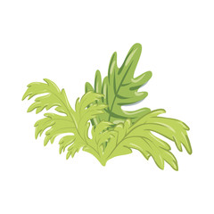 leaves icon over white background vector illustration