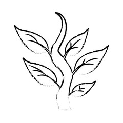 plant steam leaves nature botanical icon vector illustration