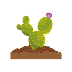 cactus icon over white background vector illustration
