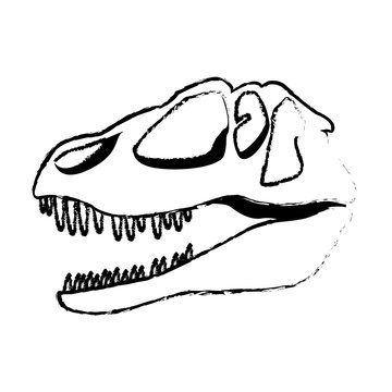dinosaur skull predator ancient fossil vector illustration