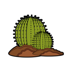 cactus icon over white background colorful design vector illustration