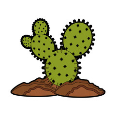 cactus icon over white background colorful design vector illustration