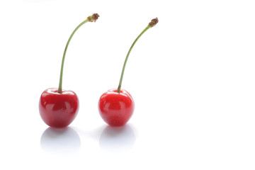 Japanese cherry fruit isolated