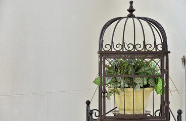 Spectacle of indoor white wall and ornamental plants