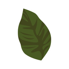 Naklejka premium leaf icon over white background vector illustration