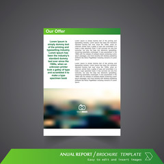 Anual Report , Brochure Template - page 12