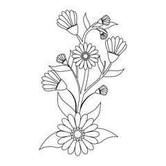 beautiful flowers and leaves icon over white background vector illustration