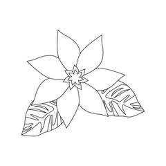 beautiful flower icon over white background vector illustration