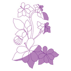 beautiful flowers and leaves icon over white background vector illustration