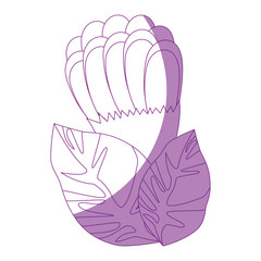 beautiful flower and leaves icon over white background vector illustration