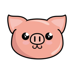 kawaii pig icon over white background colorful design vector illustration