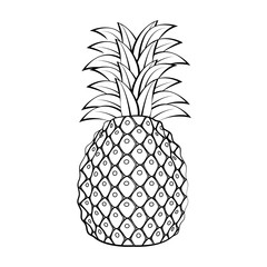 pineapple fruit icon over white background vector illustration