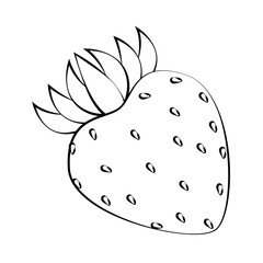strawberry fruit icon over white background vector illustration