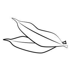 leaves Icon over white background vector illustration
