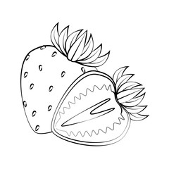 strawberry fruit icon over white background vector illustration