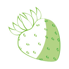 strawberry fruit icon over white background vector illustration