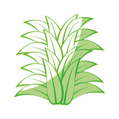 leaves Icon over white background vector illustration