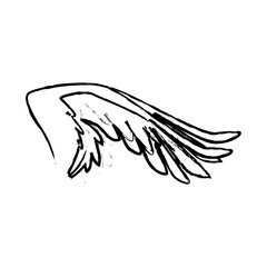 spread out pegasus bird or angel wing vector illustration