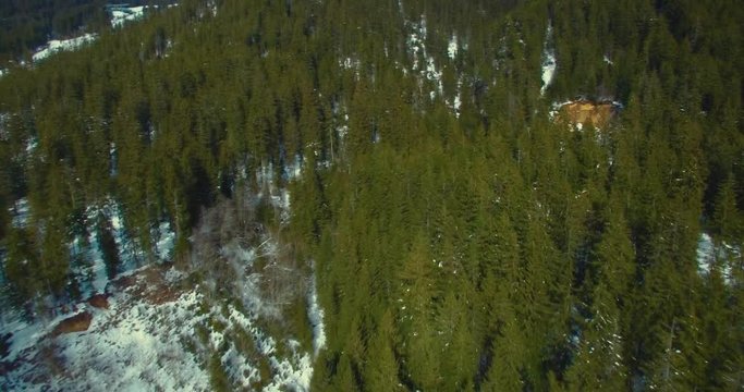Luftaufnahme in verschneitem Bergwald mit Kamerafahrt zu H&ouml;hle im felsigen Berg